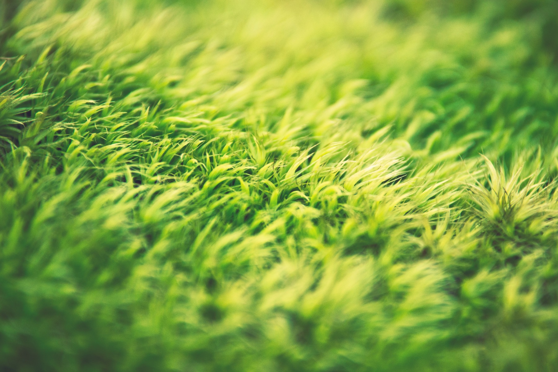 parallax background