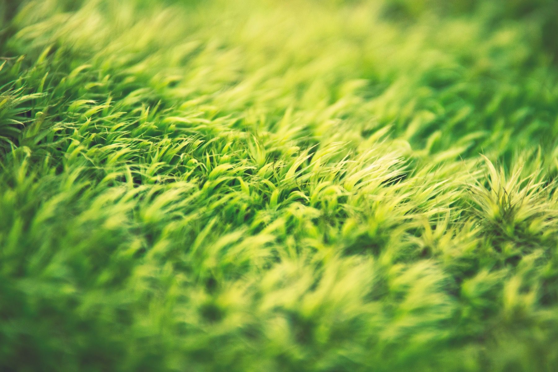 parallax background